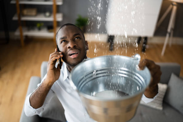 Best Basement water damage restoration  in Pine Nyon, CA
