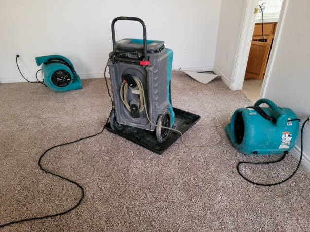 Best Mold removal after water damage  in Pine Nyon, CA