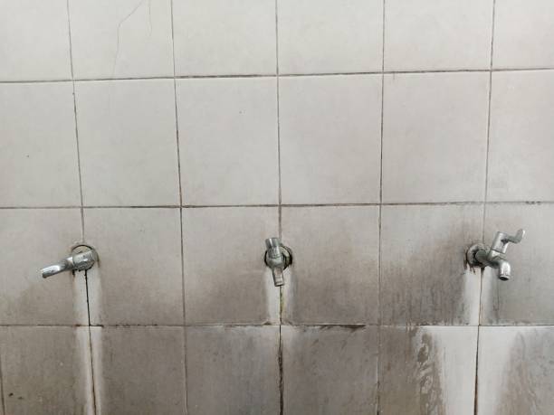 Best Water damage contractors near me  in Pine Nyon, CA